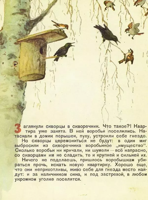 Георгий Скребицкий - Домик на берёзе - Страница № 11