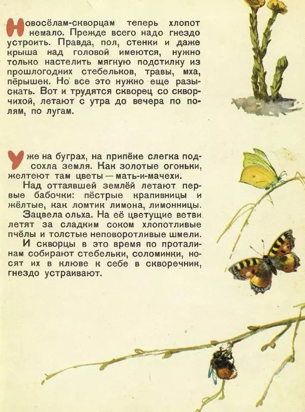 Георгий Скребицкий - Домик на берёзе - Страница № 12