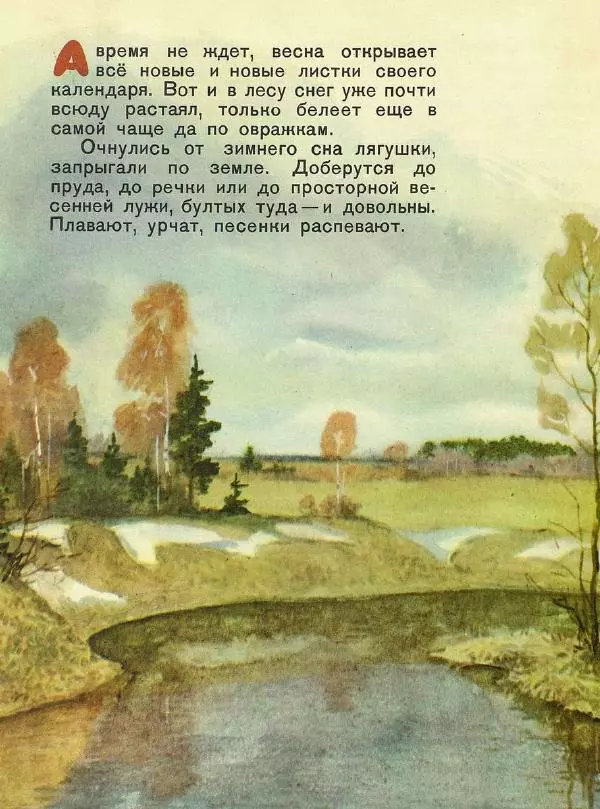 Георгий Скребицкий - Домик на берёзе - Страница № 13