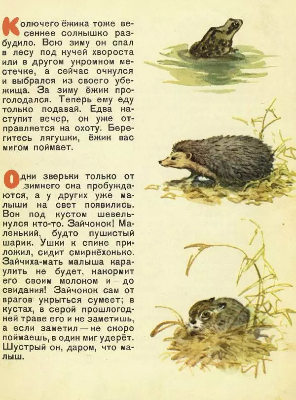 Георгий Скребицкий - Домик на берёзе - Страница № 14