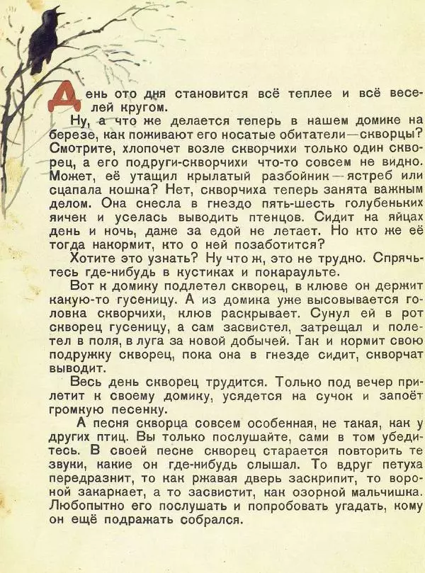 Георгий Скребицкий - Домик на берёзе - Страница № 15