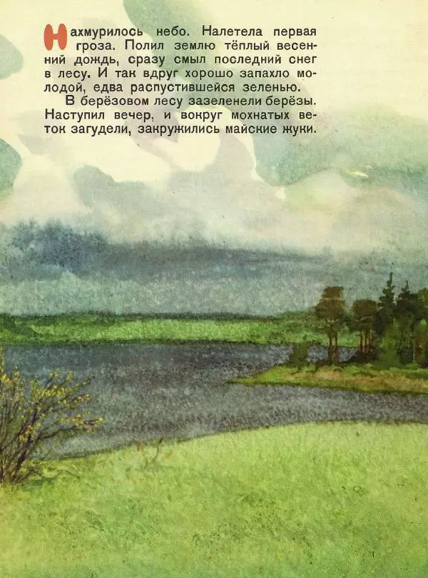 Георгий Скребицкий - Домик на берёзе - Страница № 17