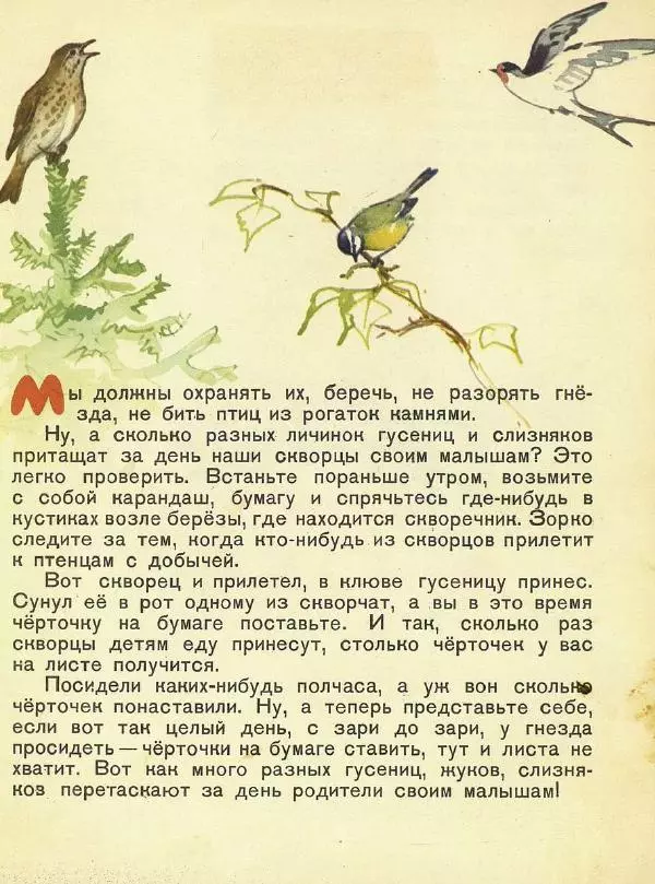 Георгий Скребицкий - Домик на берёзе - Страница № 20