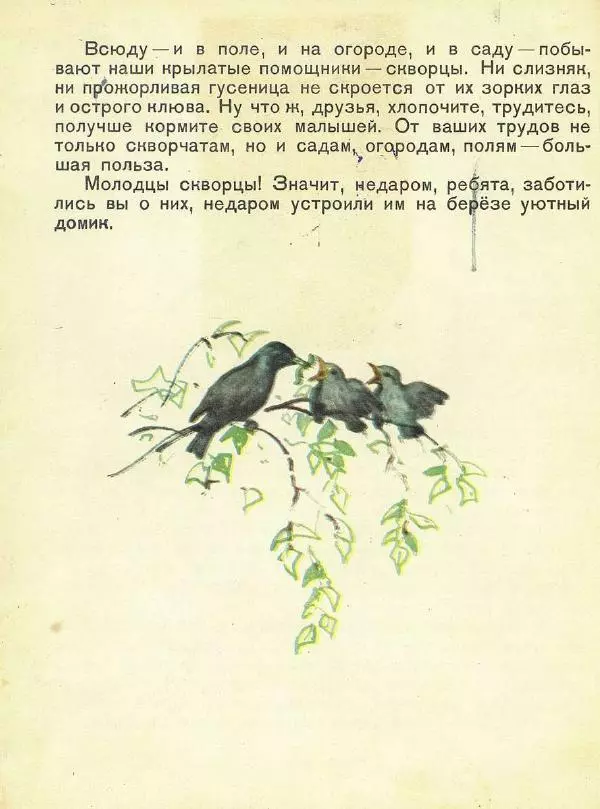 Георгий Скребицкий - Домик на берёзе - Страница № 21