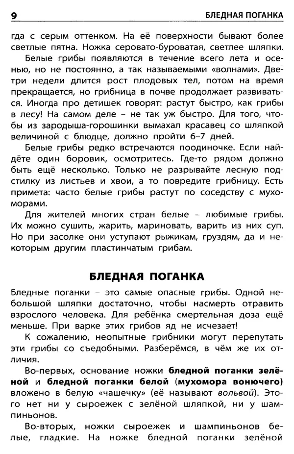 Мария Сергеева - Грибы съедобные и несъедобные  - Страница № 11