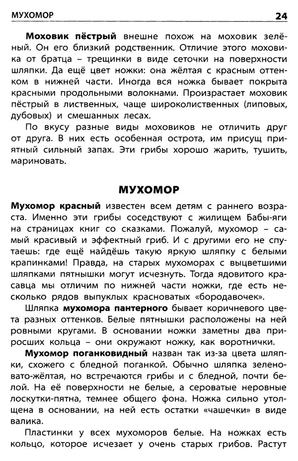 Мария Сергеева - Грибы съедобные и несъедобные  - Страница № 26