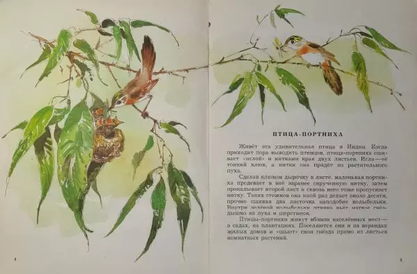 Игорь Акимушкин - Животные-строители - Страница № 4