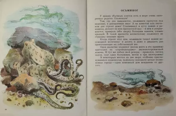 Игорь Акимушкин - Животные-строители - Страница № 11