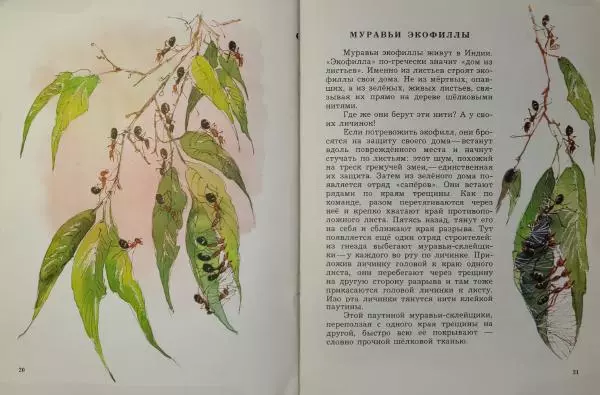 Игорь Акимушкин - Животные-строители - Страница № 12