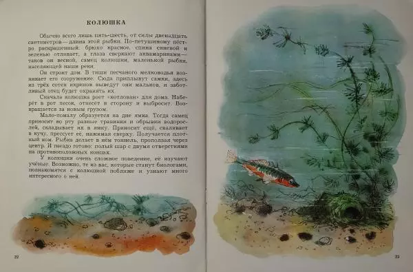 Игорь Акимушкин - Животные-строители - Страница № 13