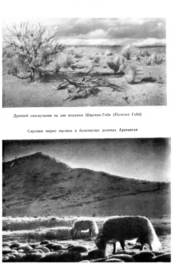 Иван Ефремов - Дорога ветров - Страница № 373