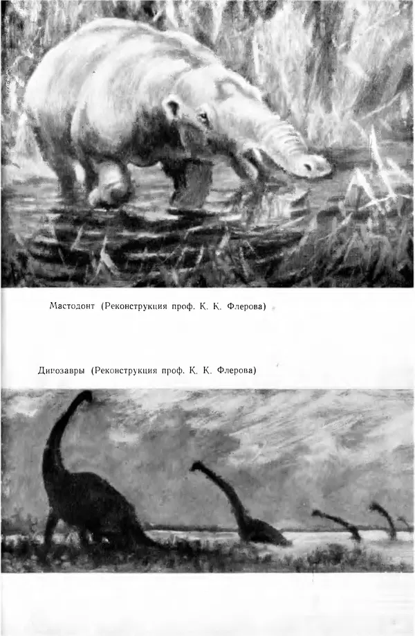 Иван Ефремов - Дорога ветров - Страница № 380