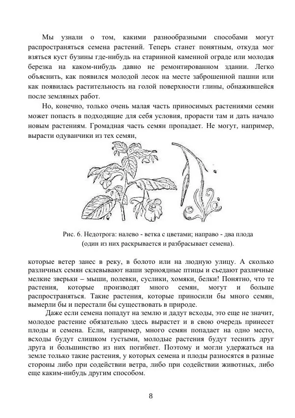Владимир Тетюрев - Естествознание. Часть 2. Учебник для 4-го класса начальной школы - Страница № 9