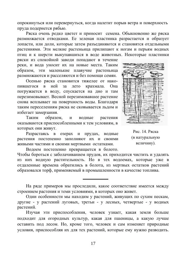 Владимир Тетюрев - Естествознание. Часть 2. Учебник для 4-го класса начальной школы - Страница № 18