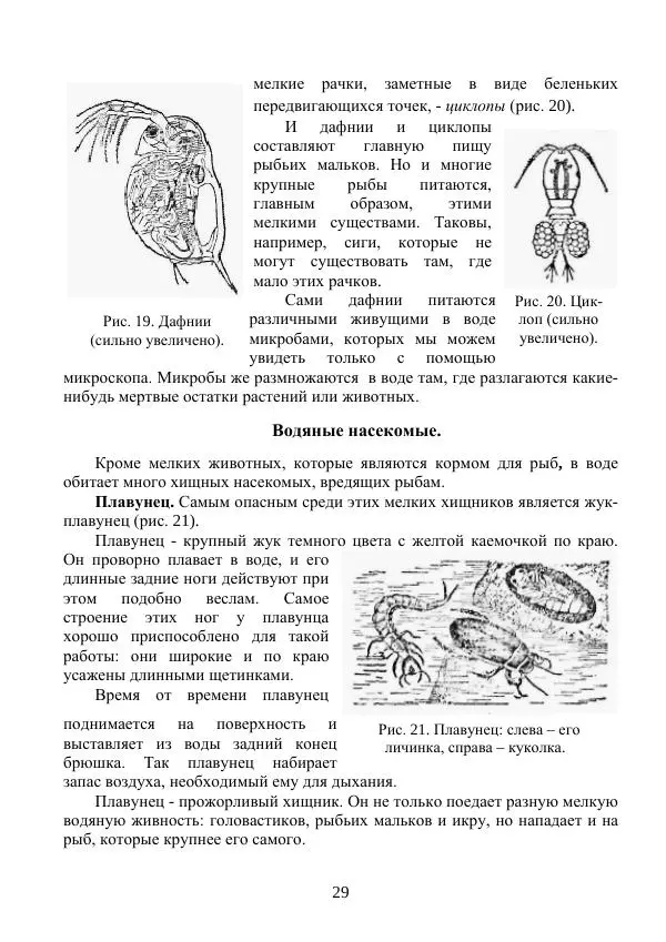 Владимир Тетюрев - Естествознание. Часть 2. Учебник для 4-го класса начальной школы - Страница № 30