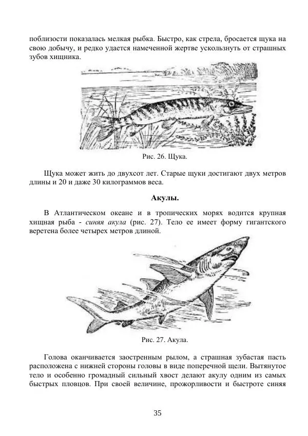 Владимир Тетюрев - Естествознание. Часть 2. Учебник для 4-го класса начальной школы - Страница № 36