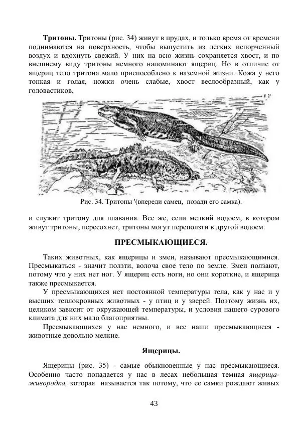 Владимир Тетюрев - Естествознание. Часть 2. Учебник для 4-го класса начальной школы - Страница № 44