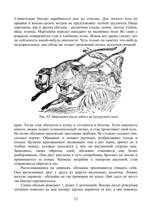 Владимир Тетюрев - Естествознание. Часть 2. Учебник для 4-го класса начальной школы - Страница № 73