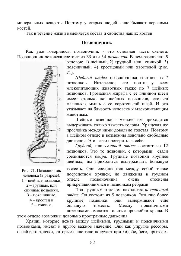 Владимир Тетюрев - Естествознание. Часть 2. Учебник для 4-го класса начальной школы - Страница № 83