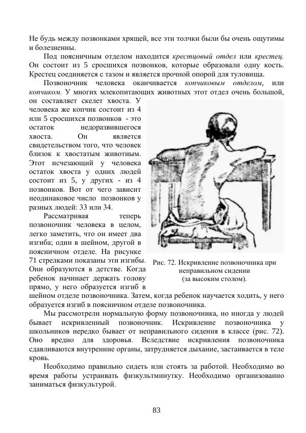 Владимир Тетюрев - Естествознание. Часть 2. Учебник для 4-го класса начальной школы - Страница № 84
