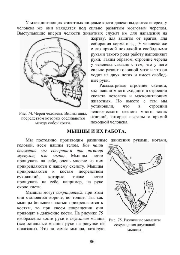 Владимир Тетюрев - Естествознание. Часть 2. Учебник для 4-го класса начальной школы - Страница № 87