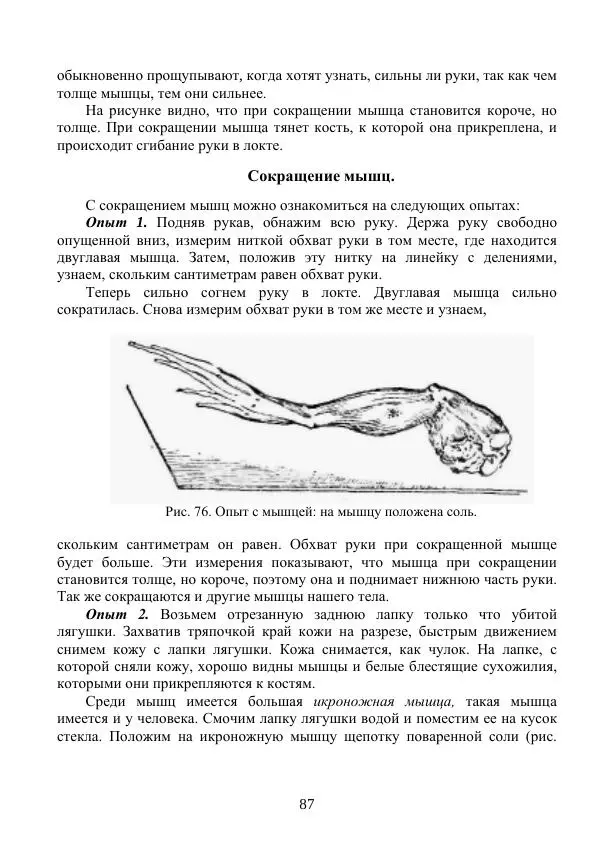 Владимир Тетюрев - Естествознание. Часть 2. Учебник для 4-го класса начальной школы - Страница № 88