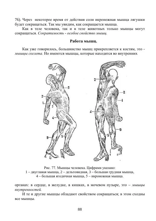 Владимир Тетюрев - Естествознание. Часть 2. Учебник для 4-го класса начальной школы - Страница № 89