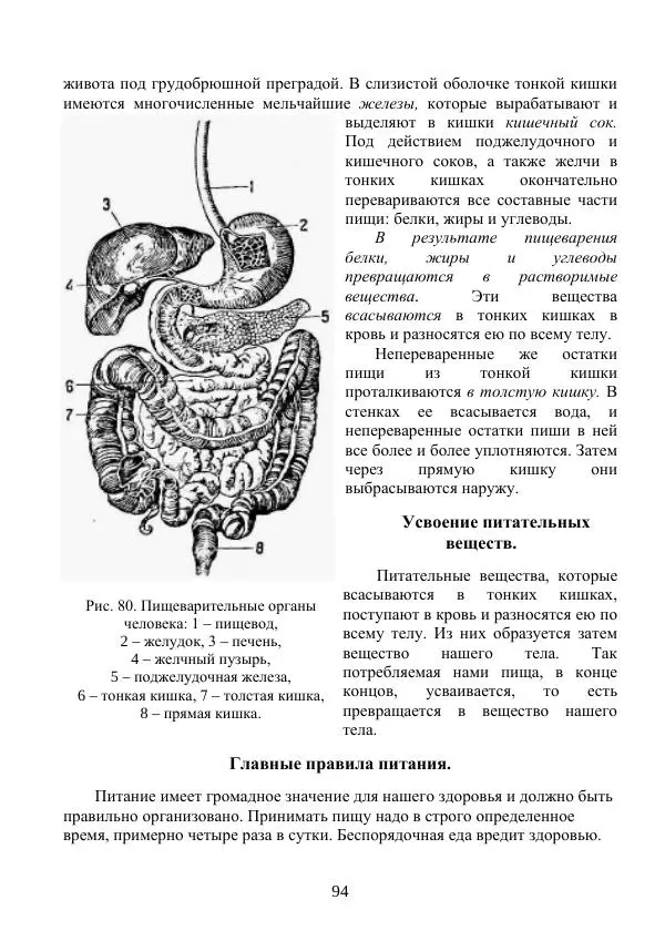 Владимир Тетюрев - Естествознание. Часть 2. Учебник для 4-го класса начальной школы - Страница № 95