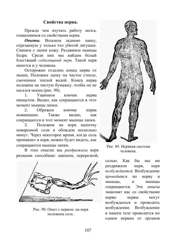Владимир Тетюрев - Естествознание. Часть 2. Учебник для 4-го класса начальной школы - Страница № 108