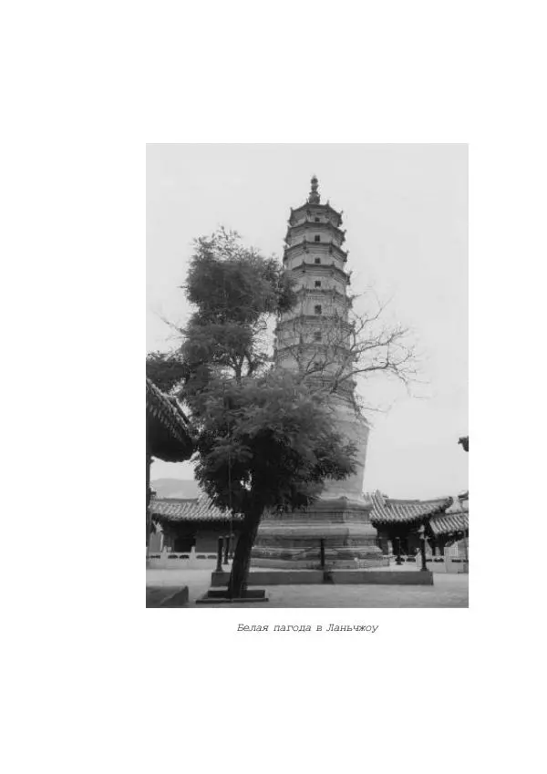 Наиль Ахметшин - Тайны Шелкового пути - Страница № 153