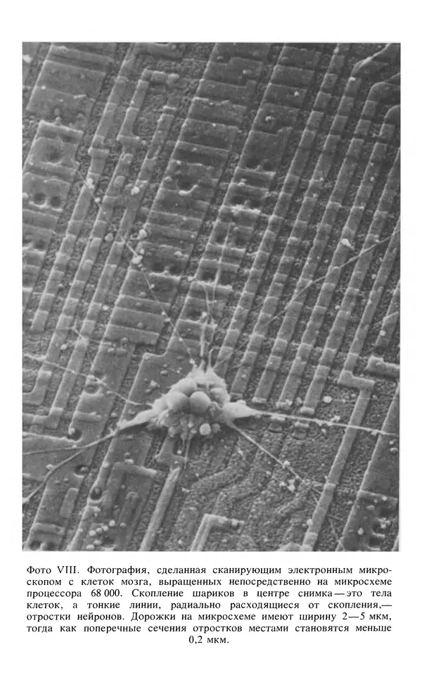  Коллектив авторов - Реальность и прогнозы искусственного интеллекта - Страница № 141