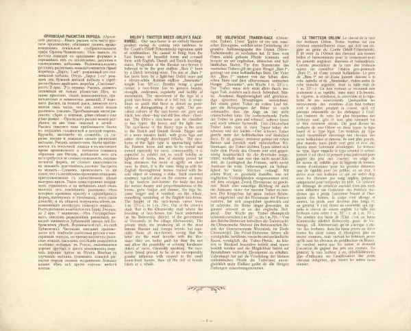 Н. Гулькевич - Типы и породы лошадей Российской Империи - Страница № 12