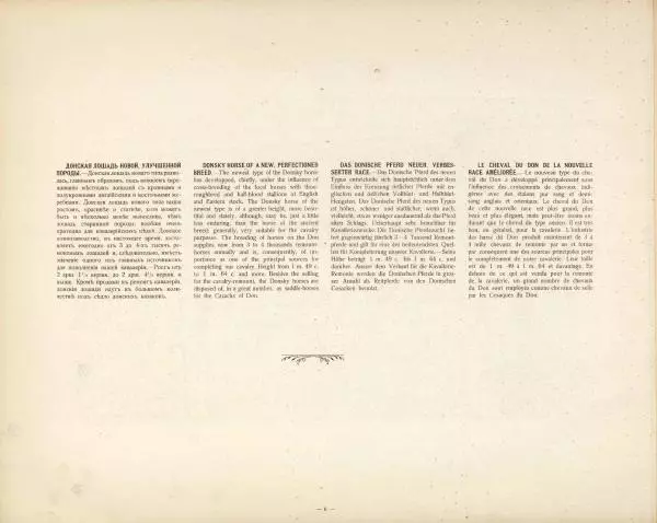 Н. Гулькевич - Типы и породы лошадей Российской Империи - Страница № 25