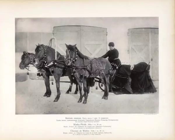 Н. Гулькевич - Типы и породы лошадей Российской Империи - Страница № 60