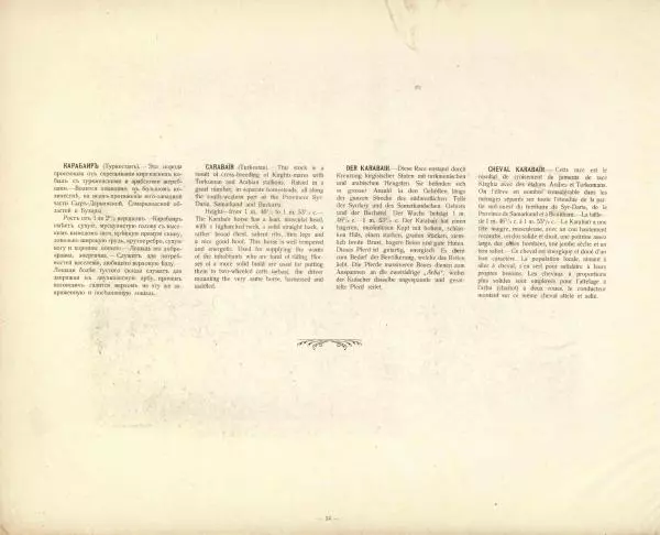 Н. Гулькевич - Типы и породы лошадей Российской Империи - Страница № 84