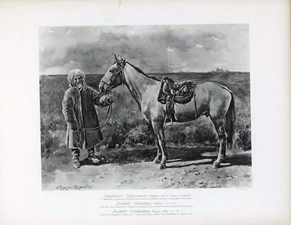 Н. Гулькевич - Типы и породы лошадей Российской Империи - Страница № 85