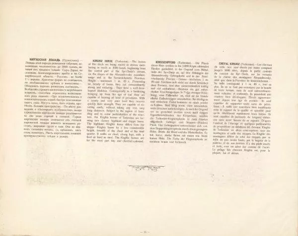 Н. Гулькевич - Типы и породы лошадей Российской Империи - Страница № 86