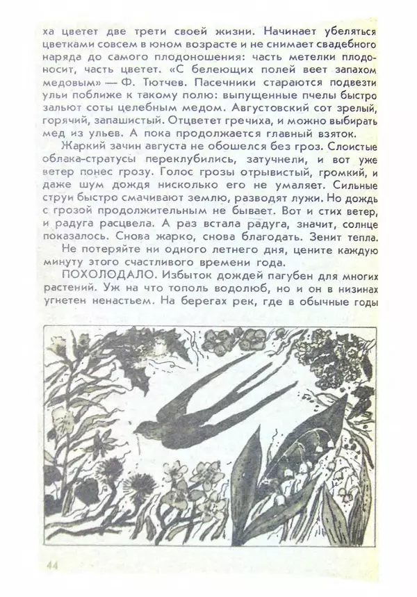 Александр Стрижев - Домашняя энциклопедия (беседы о природе) - Страница № 45