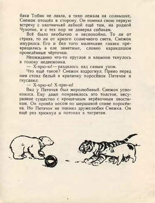 Сергей Баруздин - Как Снежок в Индию попал - Страница № 17