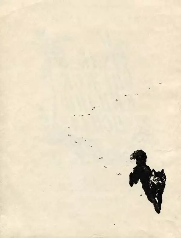 Сергей Баруздин - Как Снежок в Индию попал - Страница № 6