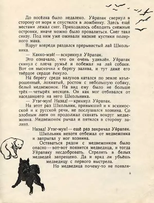 Сергей Баруздин - Как Снежок в Индию попал - Страница № 9