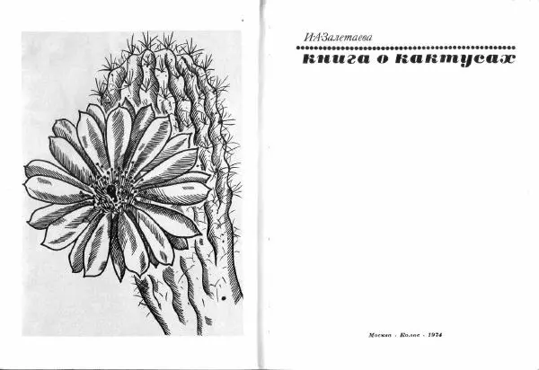 Ирина Залетаева - Книга о кактусах - Страница № 3