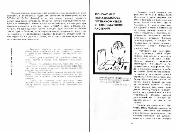 Ирина Залетаева - Книга о кактусах - Страница № 10