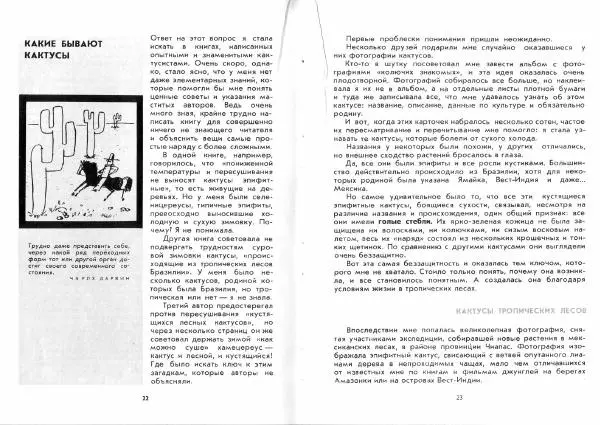 Ирина Залетаева - Книга о кактусах - Страница № 13