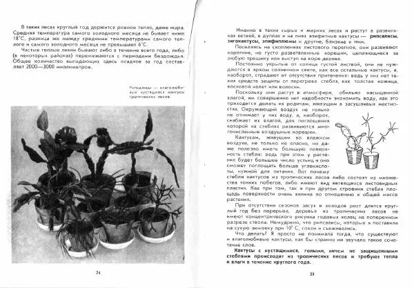 Ирина Залетаева - Книга о кактусах - Страница № 14