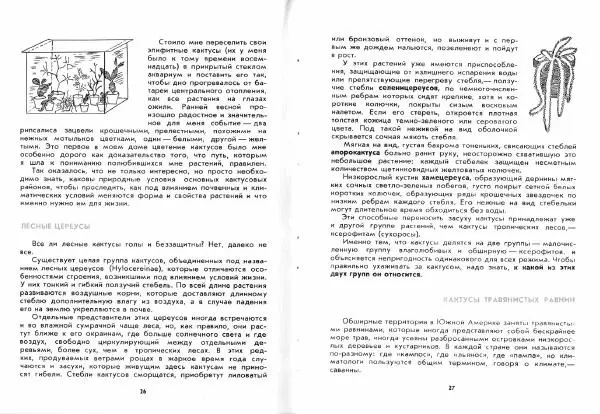 Ирина Залетаева - Книга о кактусах - Страница № 15