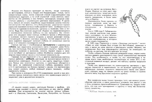Ирина Залетаева - Книга о кактусах - Страница № 17
