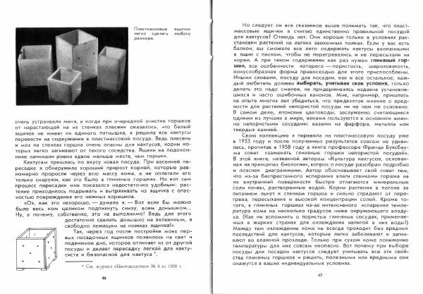 Ирина Залетаева - Книга о кактусах - Страница № 25