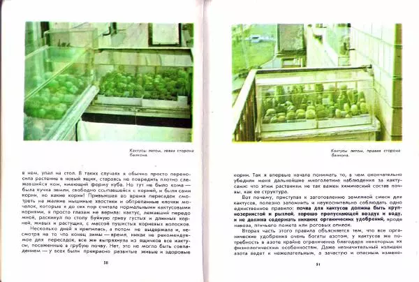 Ирина Залетаева - Книга о кактусах - Страница № 27