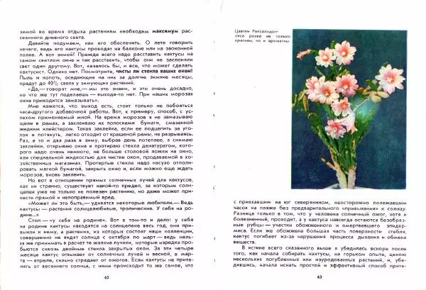 Ирина Залетаева - Книга о кактусах - Страница № 33